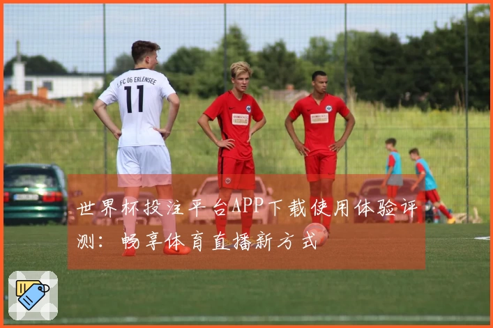 世界杯投注平台APP下载使用体验评测：畅享体育直播新方式